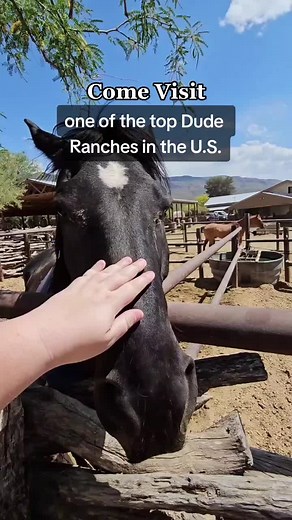 Explore Tanque Verde Ranch: A Premier Dude Ranch Experience