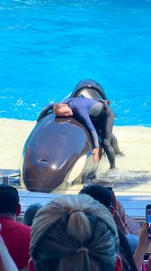 Orca❤️🥰 #reels #happy #orca | Bright Kingdom