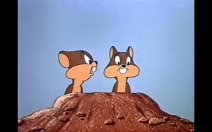 【288p】华纳老动画 I Gopher You