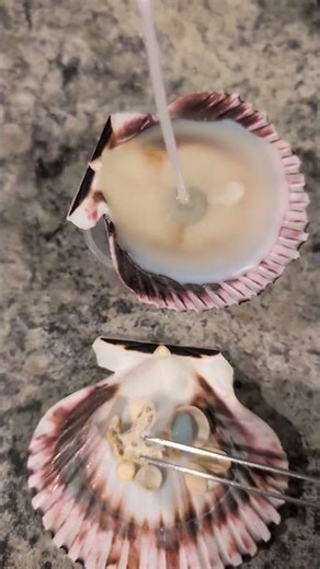 seashell candle 🐚💕🌟 #diy #candlemaking #seashellcraft #seashellart #diycandle