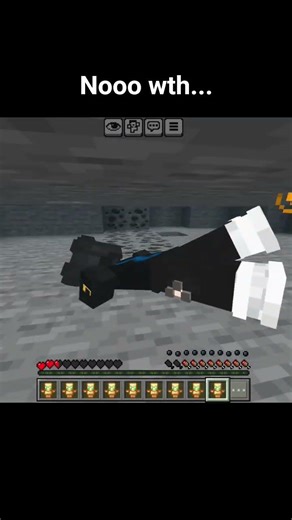 Minecraft What❓ #nobatidao #dublagem #india