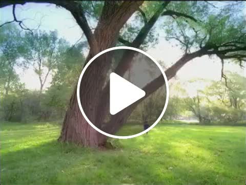 PBS KIDS Alphabet Song HQ  - NewsBreak