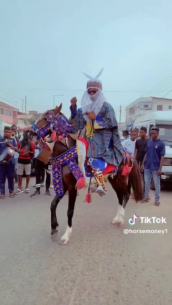 Exciting Horseriding Clips: People Riding On Horses