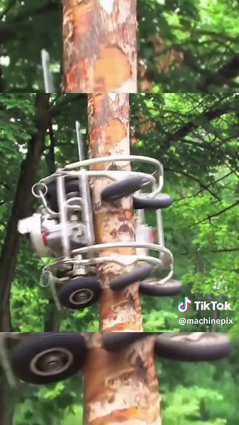 Automatic climbing tree trimmer. #machinepix #engineer #engineering #howitsmade #manufacturing #tree #treesurgeon #arborist #gardening