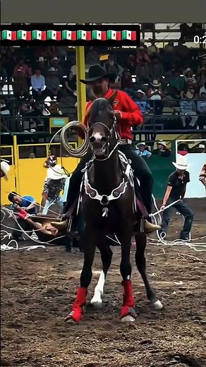 tabarin hernandez de los mejores lasadores de todo México