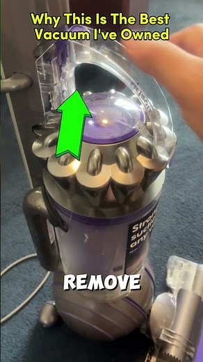 My Honest Review of the Dyson Ball Animal 3