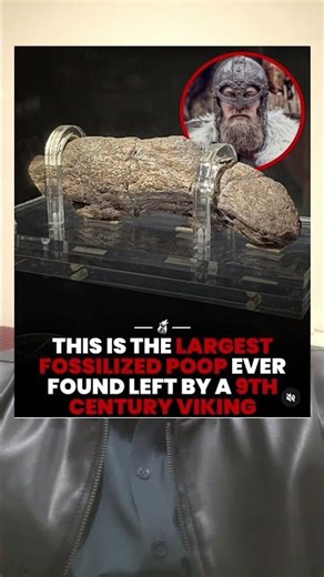 The Largest Human Poop in History (1,200 Years Old!)