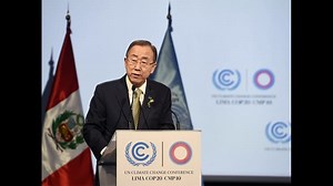 ONU pide impulsar medidas para erradicar comercio ilícito de tabaco