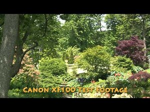 Canon XF100 Test Footage, Canon XF 100 Review