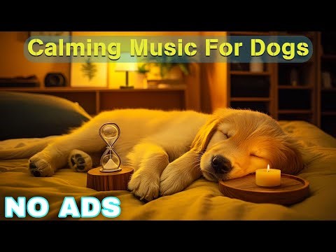 12 HOURS of Dog Calming Music For Dogs🎵💖Anti Separation Anxiety Relief Music🐶Healing Dog Sleep🎵