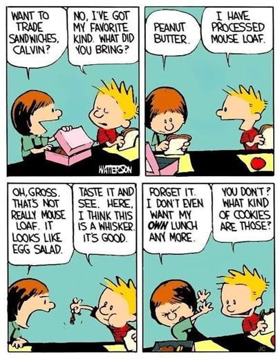 "Sometimes the smallest conversations hold the biggest truths 🌌✨ #CalvinAndHobbes" . . .CalvinAndHobbes #ComicReels #FunnyComics #DailyDoseOfComics #ComicStrip #ClassicComics #CartoonHumor #MemeReels #RetroComics #ComicRelief | Daily dose of funny comics