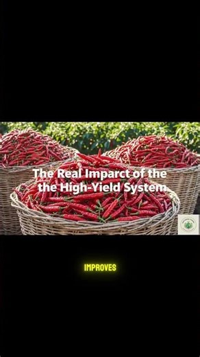 The Modern Growing Method That Doubles Crop Yield
