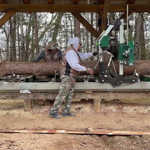This Sawmill Makes Cutting Wood Look Simple #timber #satisfying