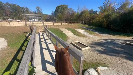 A BIG Thank you to Lorraine Burbank & Scottie for a FUN trip to Mountain Lane Farm, Temple NH. We had a great time on the”Mountain Trail Course” & the trails. Can’t wait for our next adventure 🦄 | Sable Oak Equestrian Center
