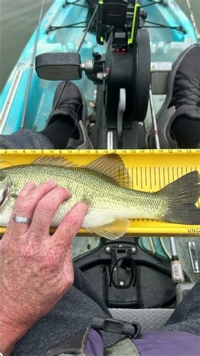 Leaderboard Bass Catches & Garmin ECHOMAP Routes | Lake LBJ Kayak Bass Tournament | March 28, 2026