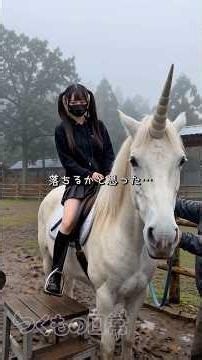 I Went to Meet a Unicorn!【Mythical Beast Park Vlog for Girls】 #shorts
