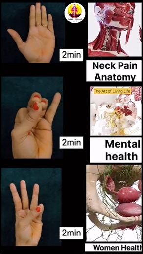 Hand Exercise for #womenhealth #mentalhealth #neckpain #anatomy do it for 2 Minutes Daily