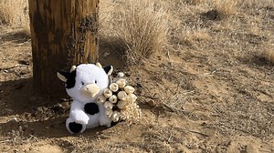 Cedar City community reacts to 17-year-old girl killed in shooting