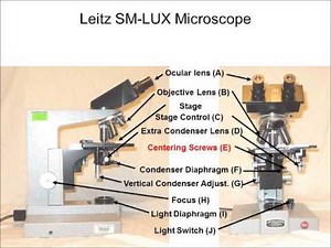 Intro to the Leitz Microscope 1 Components