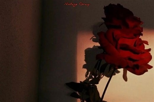 Seal _-_ " Kiss From A Rose " _ mmsub song 🎶🌹❤️ Telegram Link 👇👇👇 https://t.me/Kohtetmyan/1132 #VG | Ko Htet