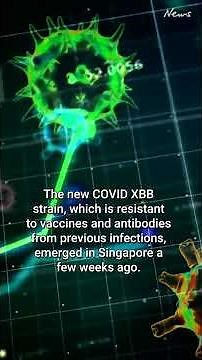 Entering the next COVID wave