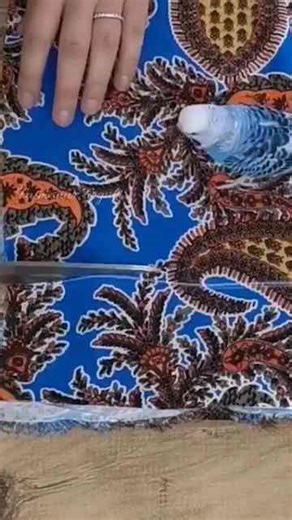 Easy Pants Sewing Tutorial for Beginners – Step by Step Guide!