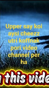 Real Alien Spotted in Pakistan 😱 | Hamari City Mein Alien Dekha Gaya 👽 | Bloch Universe