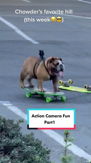 Iittle more GoPro fun. We love seeing what Chowder sees when he skates😎. #fyp #skater #WorthTheWait #petsontiktok #gopro #dude #bulldog #dog #skate