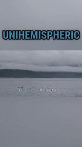 35 reactions · 4 comments | Orca Family Logs in Natural Habitat: How Long Do They Sleep? Just taking a peek into the dreamy world of orca families - did you know these intelligent creatures sleep for 4-6 hours a day?  #orcafamily #naturalhabitat #majesticcreatures #sleepingorcas #logging #dailyrest #uniquesleepinghabits | Orca Camp Vancouver Island | Facebook
