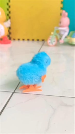 Ⓒⓗⓘⓒⓚⓢ dance 🐥🐥🐤🎉🪘🎼🎵🎶