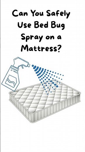 Can You Safely Use Bed Bug Spray on a Mattress