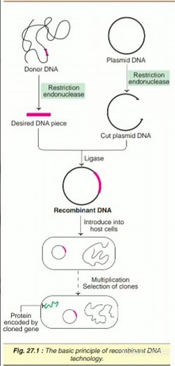 # Short on Recombinant DNA technology
