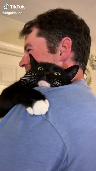 Big Black Dingus Seeks Refuge in My Arms