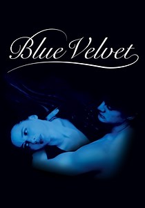 Blue Velvet streaming: where to watch movie online?