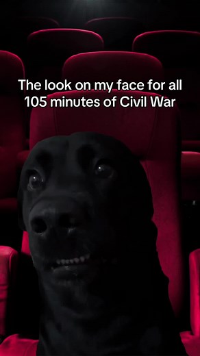 Exploring Shell Shock in Civil War Films