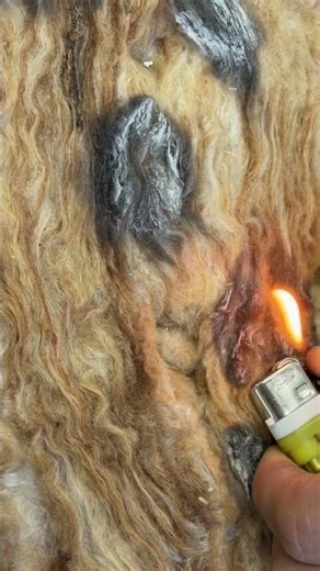 미정 컨테이너의 내장재 불이 안붙어요 🔥😯안전한 체류형 쉼터 증명 🙋‍♀️