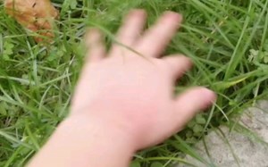 【Top 1 Challenge】Touching Grass 100%