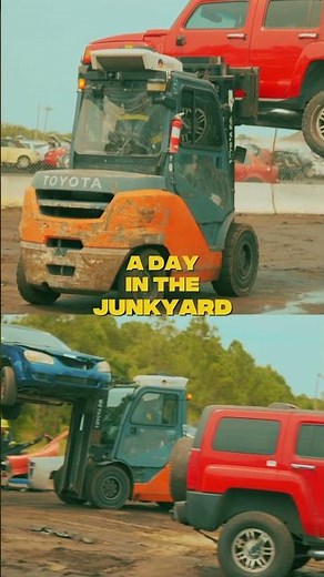 What Really Happens in a Junkyard Every Day?