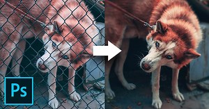 How to Remove a Chain-Link Fence in Photoshop in 3 Easy Steps