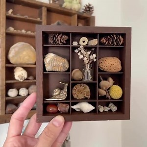 Wooden Curiosity Cabinet Printer Tray Letterbox Display, Rock Display, Shadow Box Wall Decor Cabinet Vintage Drawer Trinket Shelf Treasure - Etsy