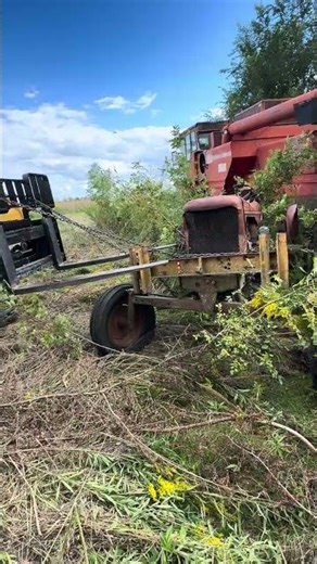 Rescuing an Old Allis-Chalmers — Skid Steer vs. the Weeds