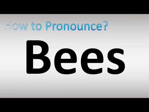 How to Pronounce Bees