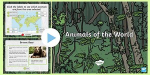 Animals From Around The World PowerPoint