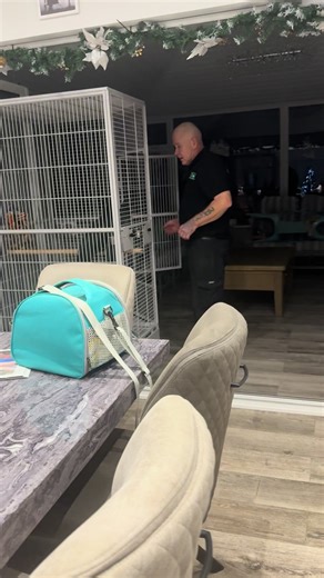 Trick Training for Horses and Macaws