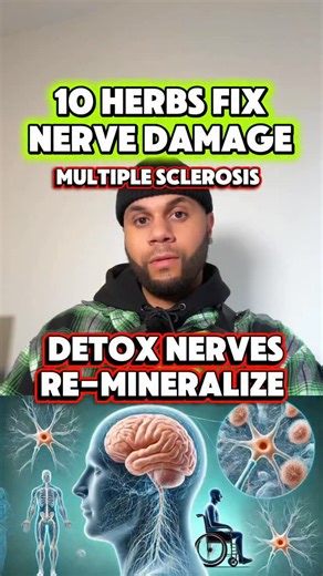 😇Celebrity Holistic Health Coach🌿 on Instagram: "🩻10 HERBS to Fix NERVE ISSUES & MS🌿 🫐Comment the word “BERRY” for 5 FREE EBOOKS: “40 Ways to Prevent DISEASE” + “Foods to Eat vs. Foods to Avoid” & More to HELP YOU GET rid of it NATURALLY (NO CATCH IT) Drop the word “HERBS” for Direct Link to Order ALL THESE HERBS MENTIONED⬇️🌿"