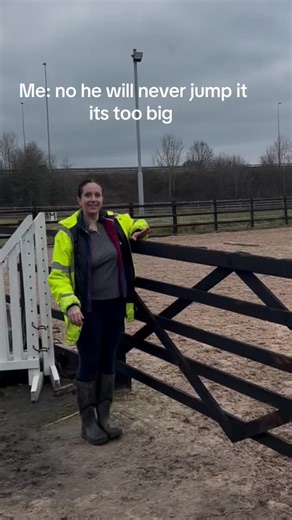 Horse Jumping Challenges in Equestrian Life