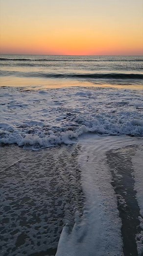 4.4K views · 477 reactions | This came 1st. First Light is so beautiful  | First Light InSite | Facebook