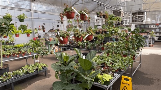 Local nurseries warn against planting too early