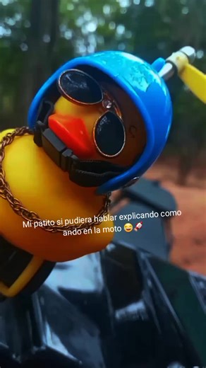 Videos de Lelio.López (@user.moto.pyjs) con “sonido original - Lelio.López”