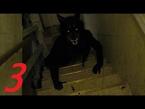 Top 3 avvistamenti di lupi mannari